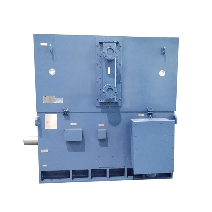Motore a induzione ad alta tensione 220KW