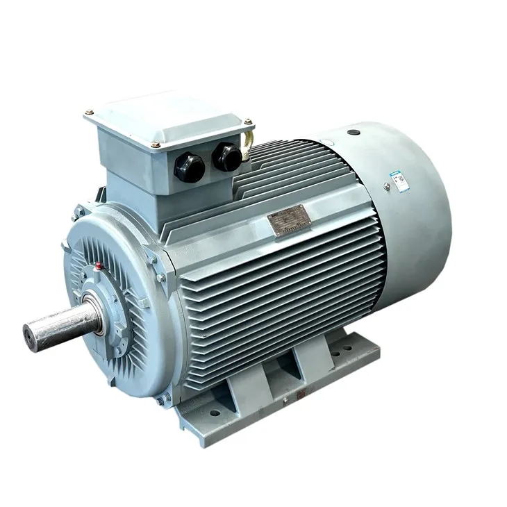 Motore a induzione a gabbia di scoiattolo trifase YVFE4 Tefc