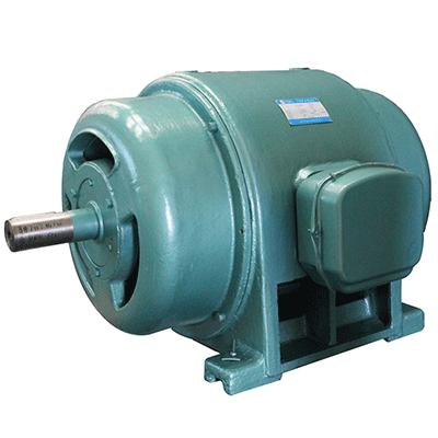 Squirrel Cage Three Phase Motor